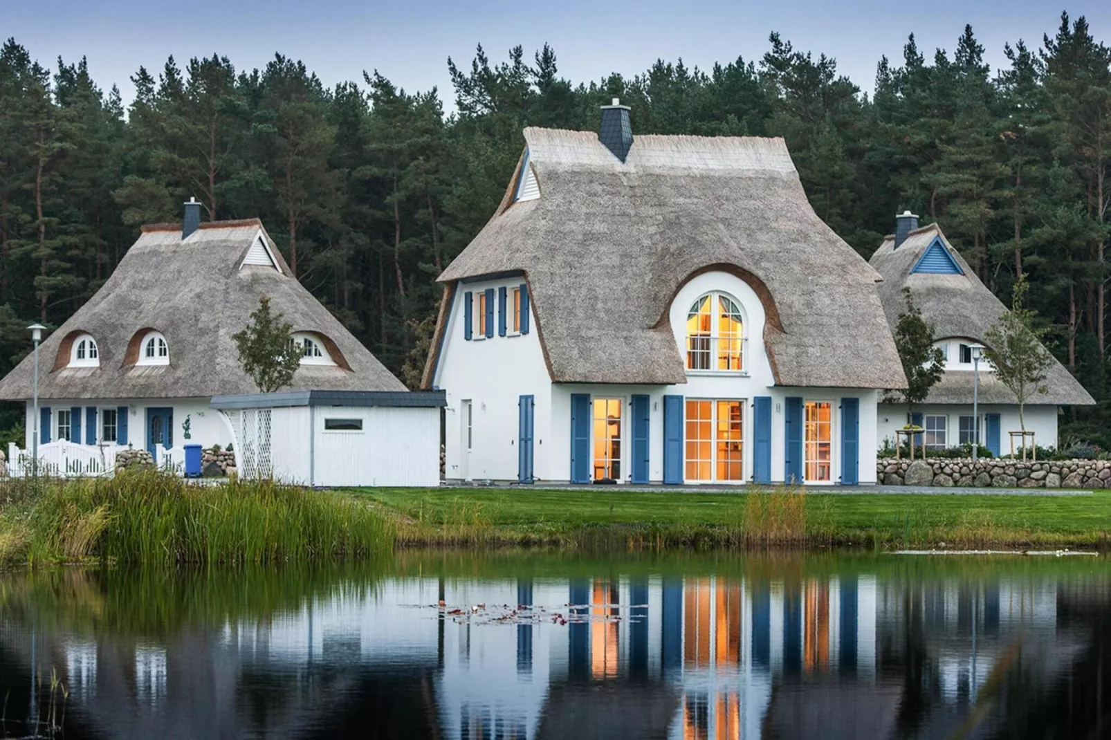 Schilfrohrsänger 18 - Buitenkant zomer