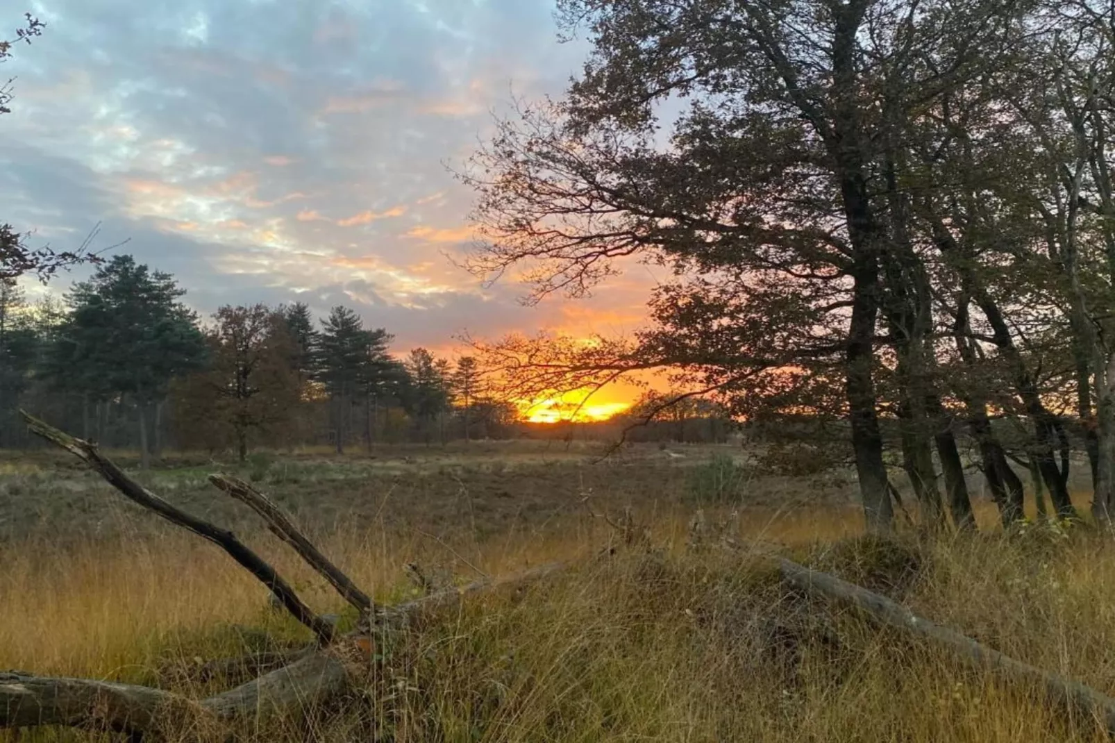 Vakantie bij Meeussen - Schuttersoord 1 - Gebieden zomer 20km