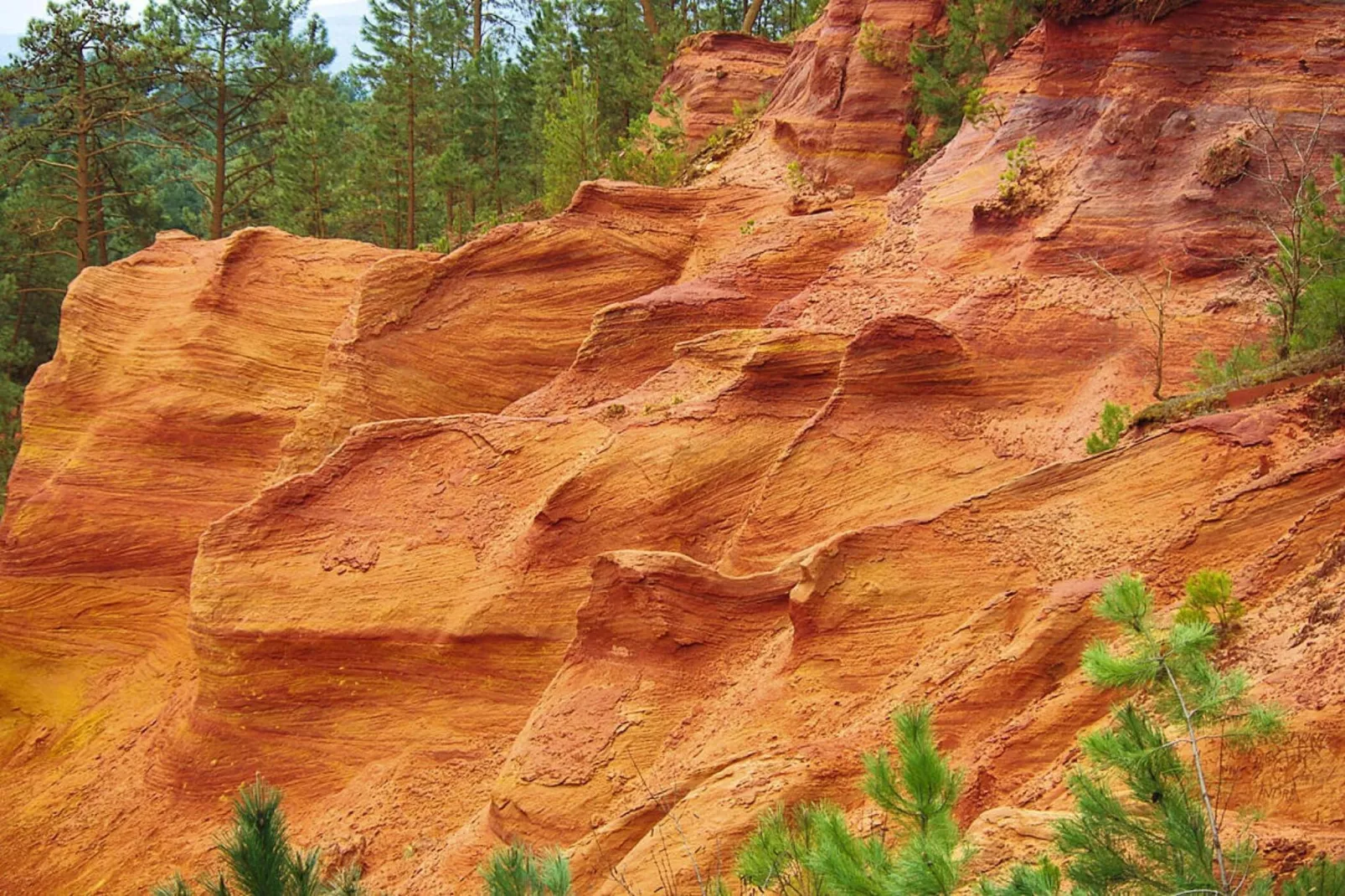 Ferienhaus in Ménerbes - Gebieden zomer 5km