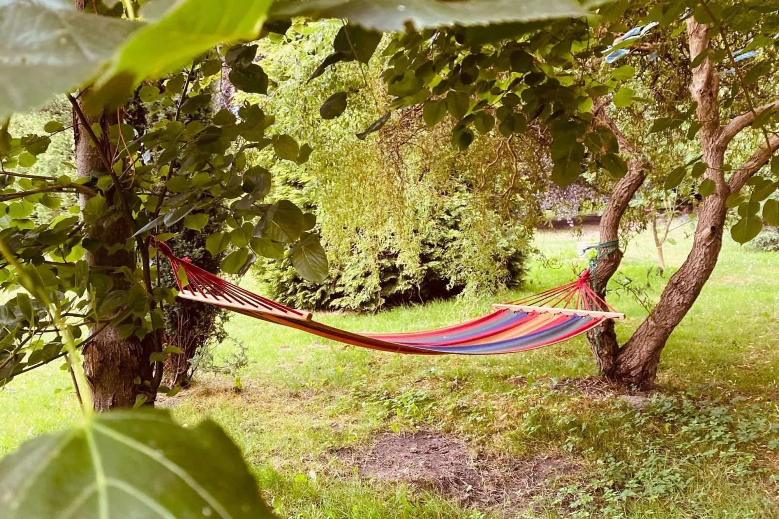 Dom przy drodze Skansen dla 8 osób Bełczna-Tuinen zomer