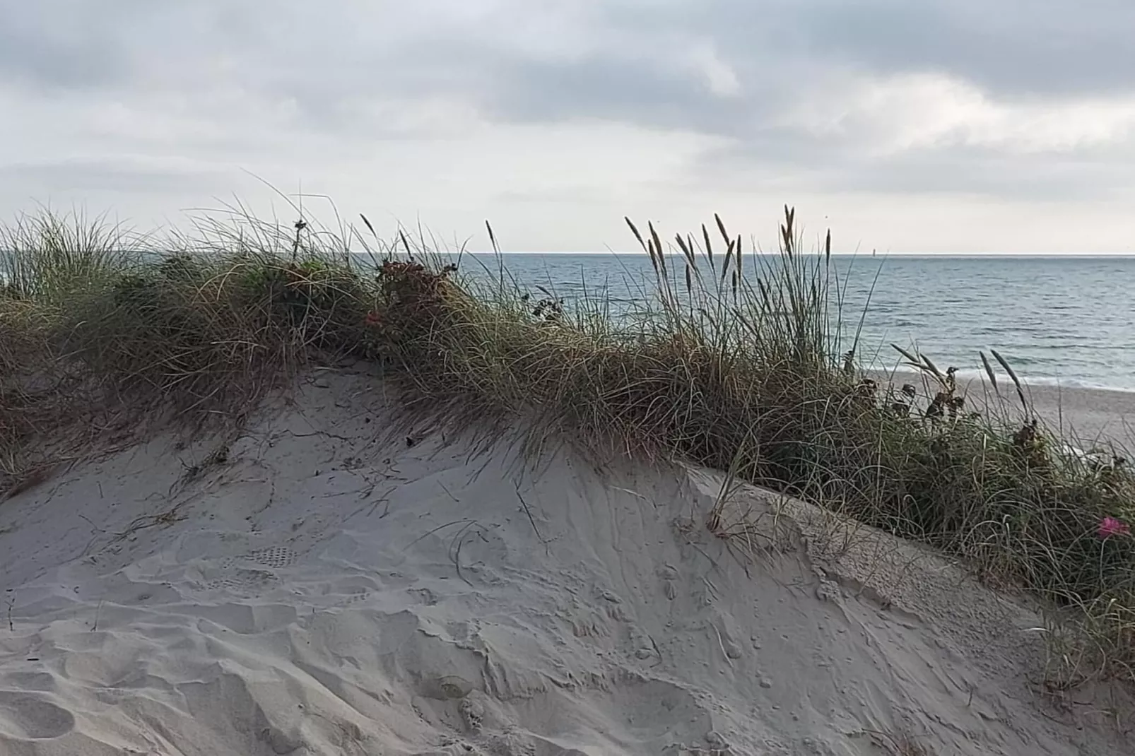 Niebüll-Ferienhaus Seebrise - Gebieden zomer 5km
