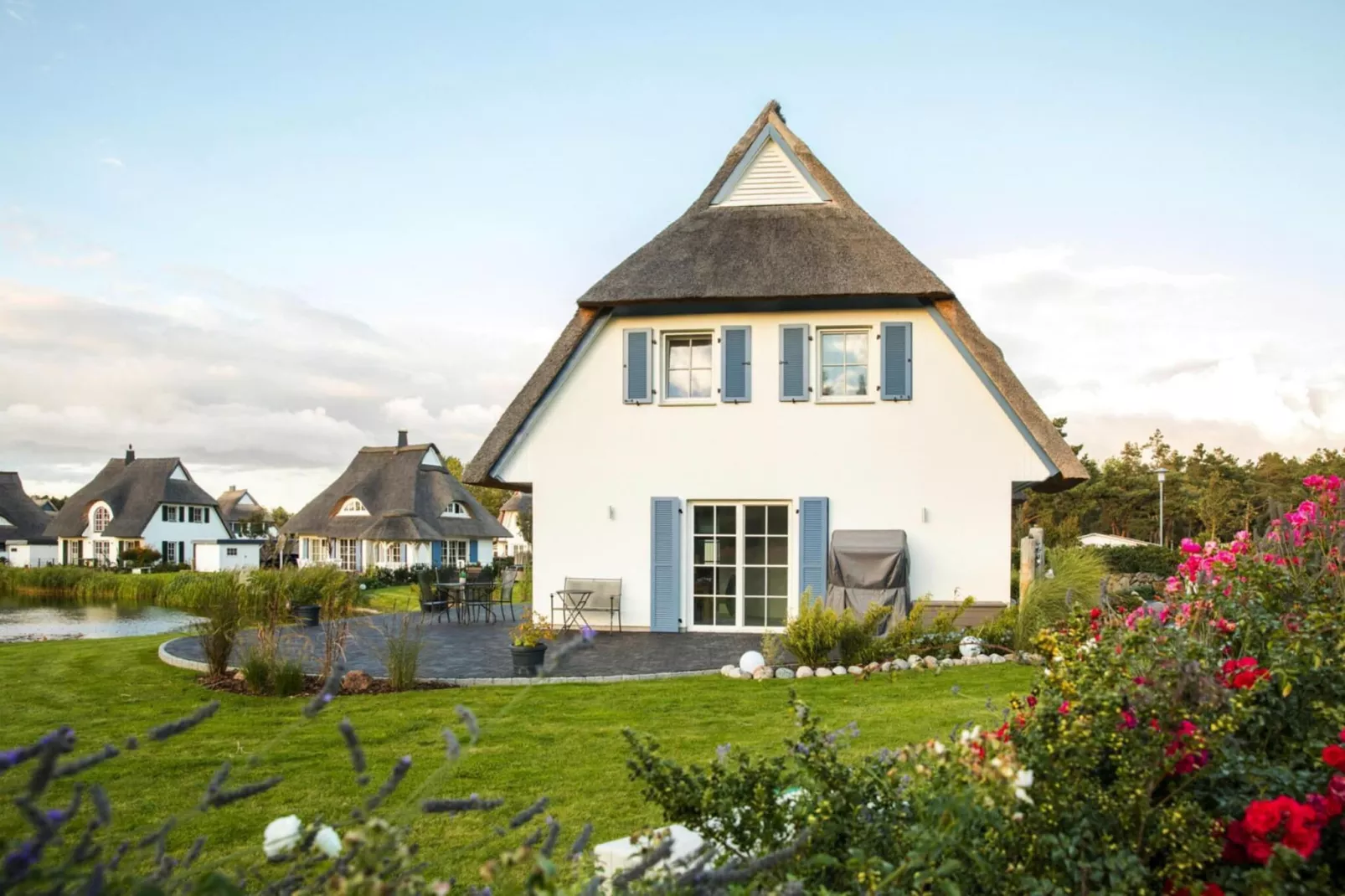 Schilfrohrsänger 18 - Buitenkant zomer