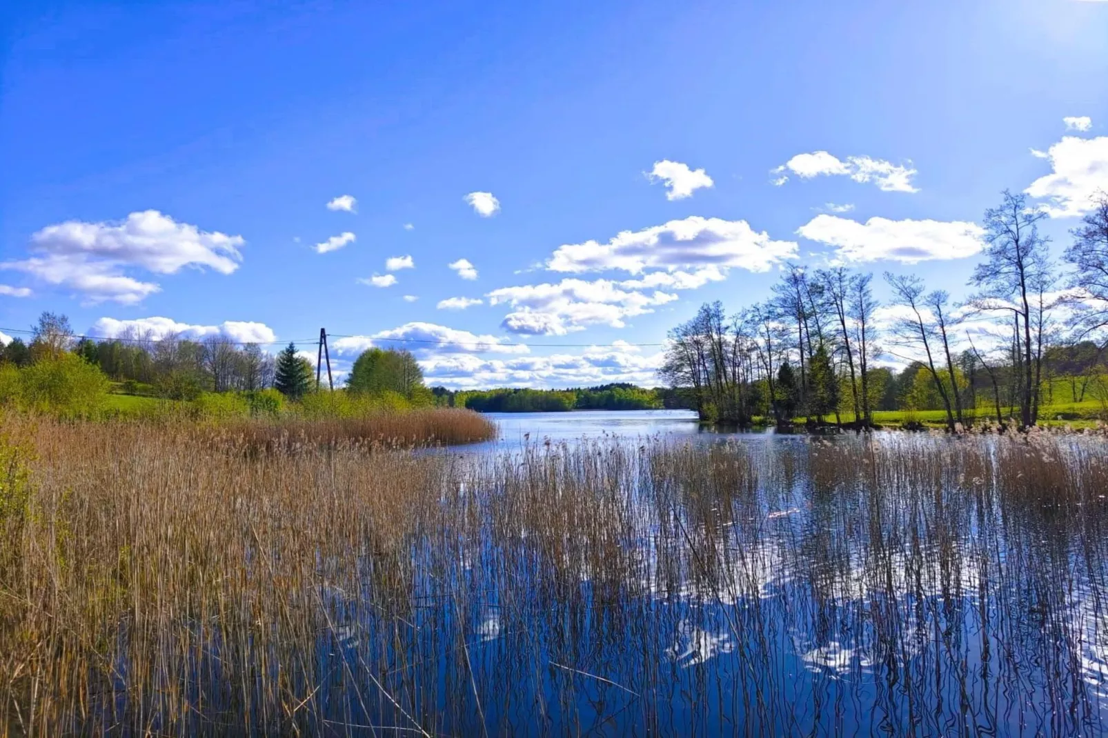 Apartments Rekowo 40 qm - Uitzicht