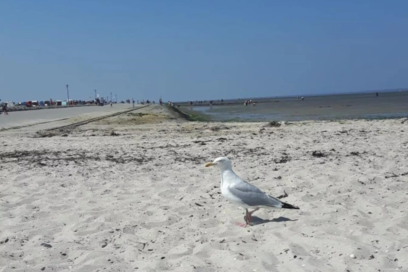 256072-Buitenkant zomer