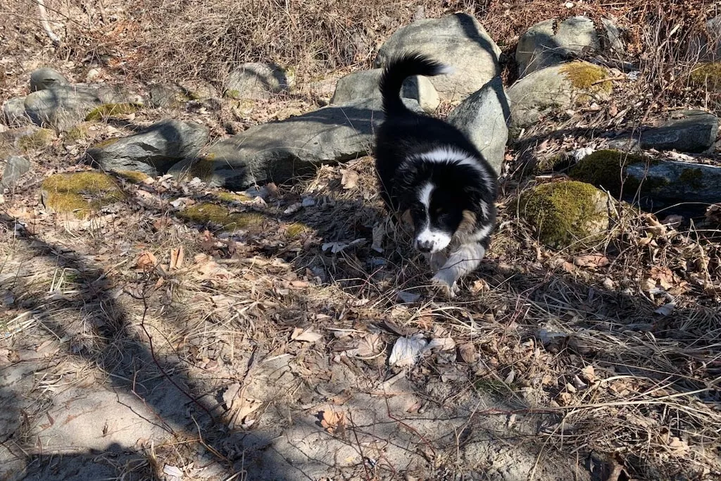 426460 - Niet-getagd