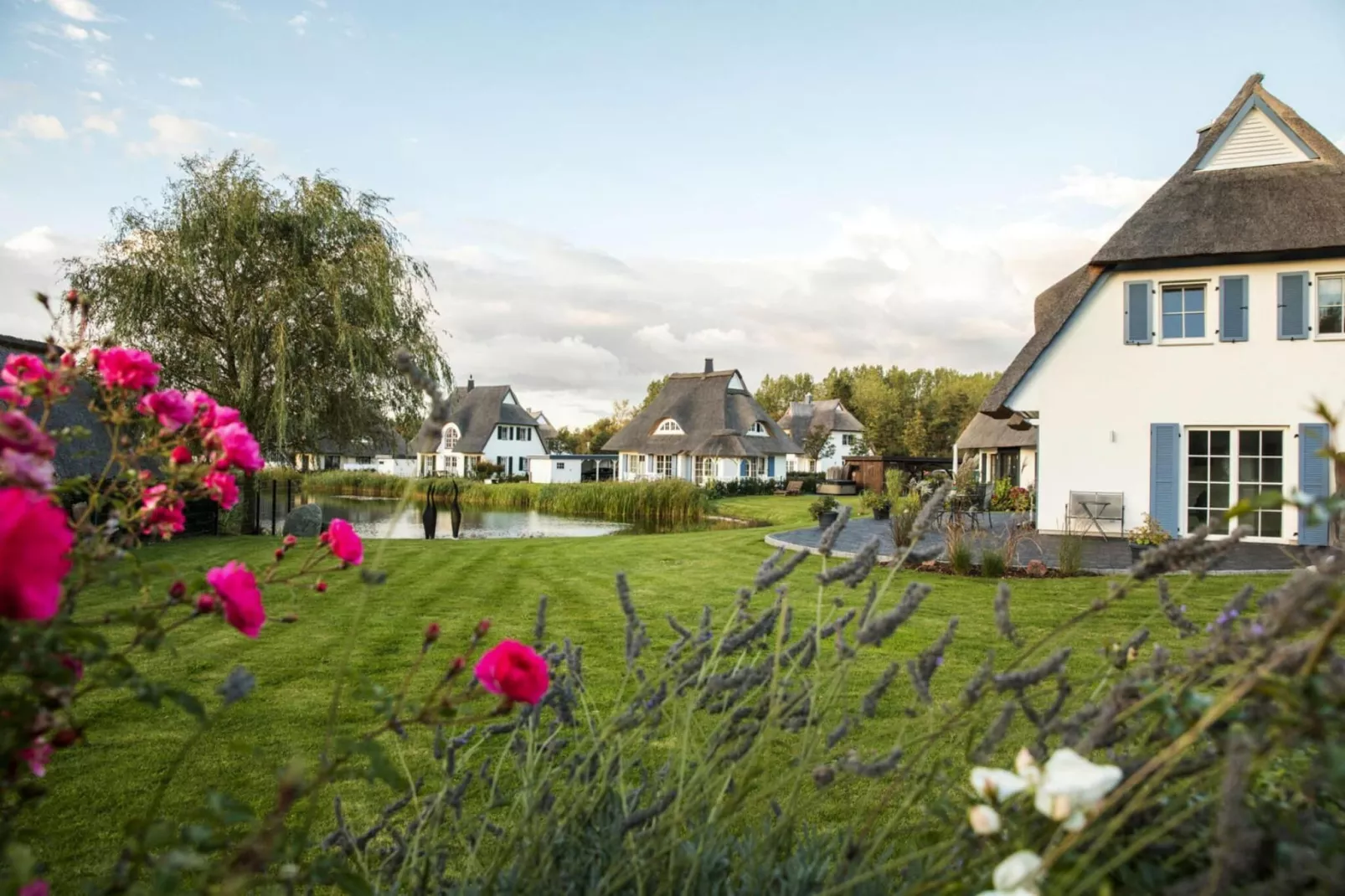 Schilfrohrsänger 18 - Tuinen zomer