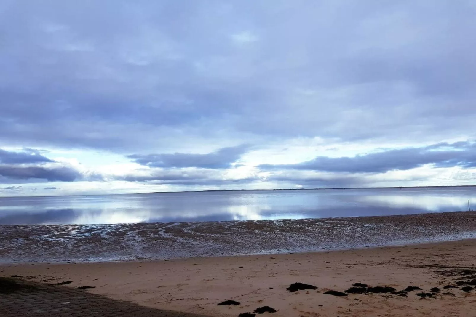 268431-Gebieden zomer 5km