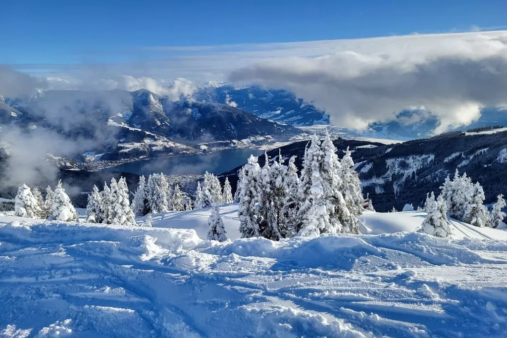 751329 - Niet-getagd