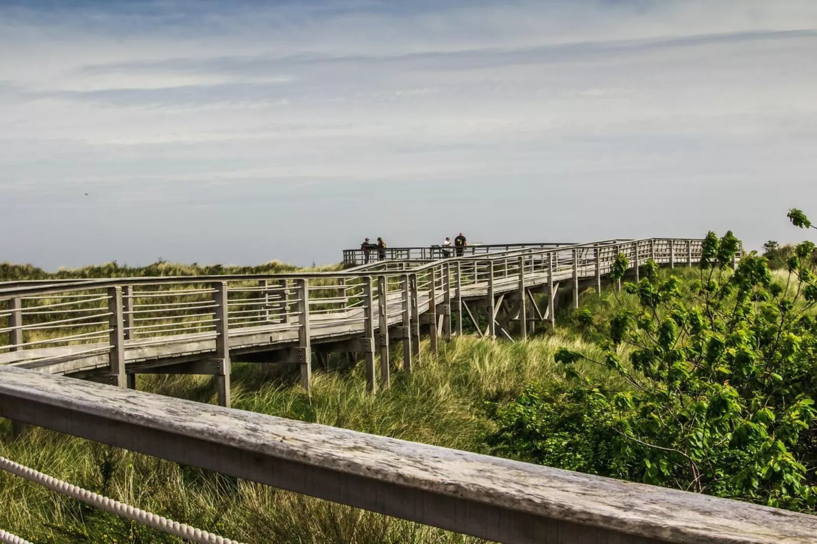 210744-Gebieden zomer 5km