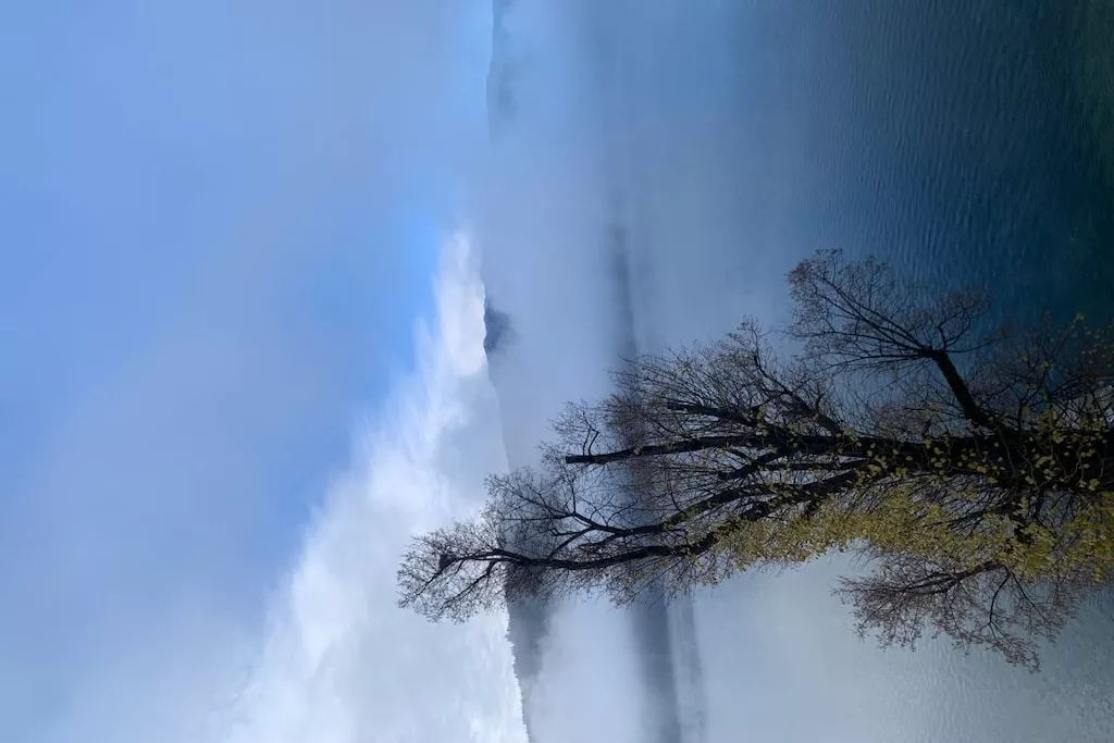 426460 - Niet-getagd