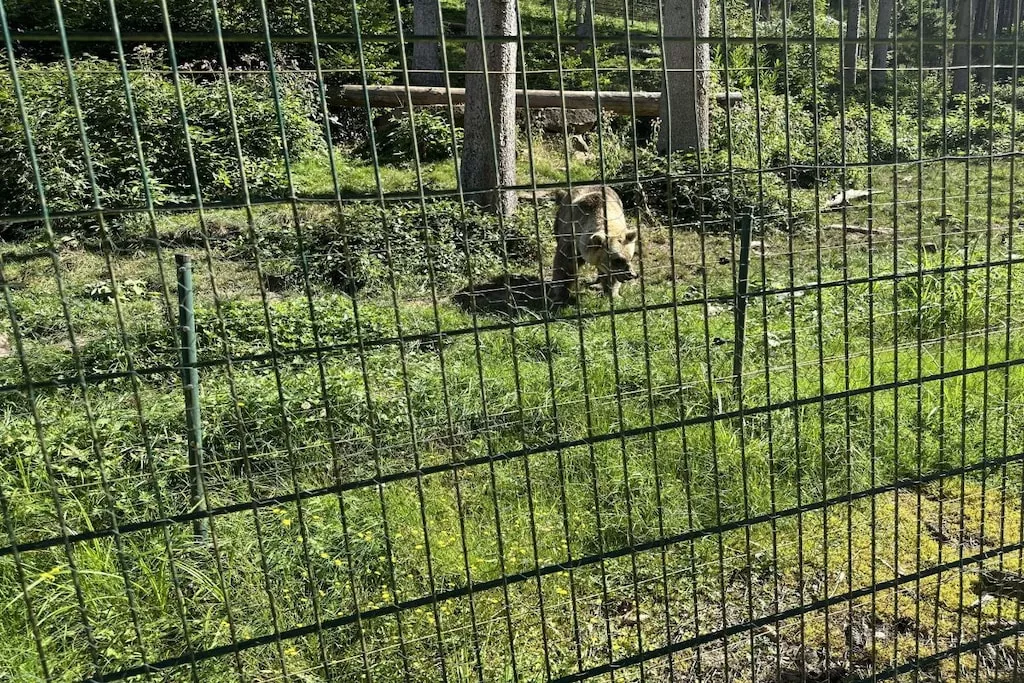 766107 - Niet-getagd