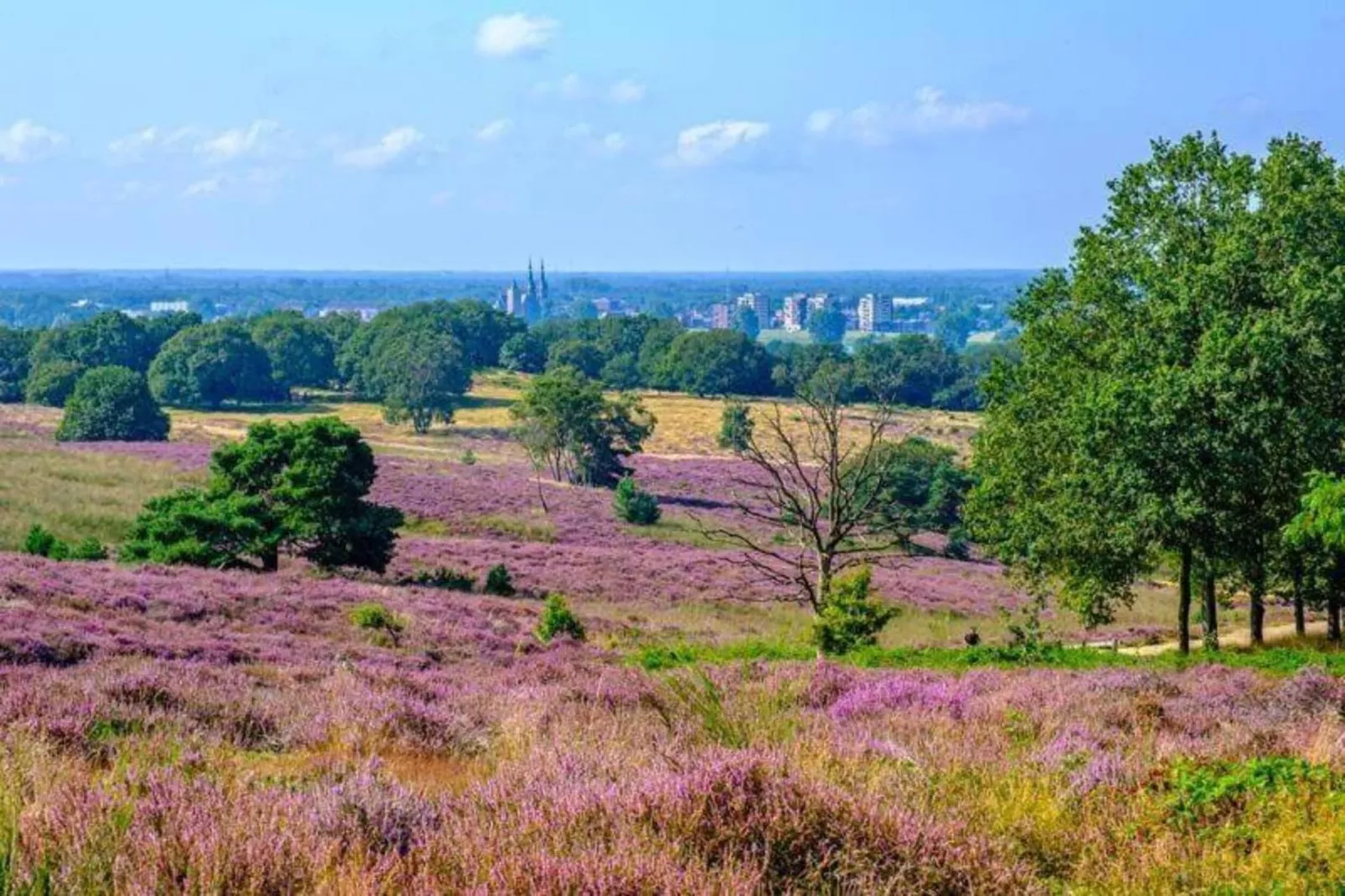 Vakantie bij Meeussen - Schuttersoord 1 - Gebieden zomer 20km