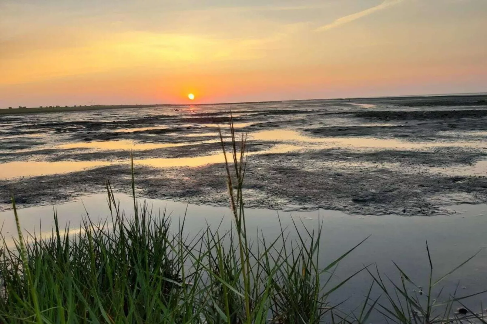 268431-Gebieden zomer 5km