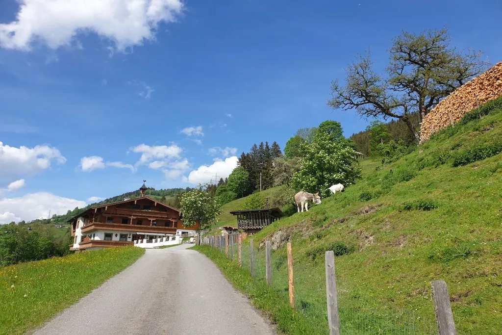 751329 - Niet-getagd