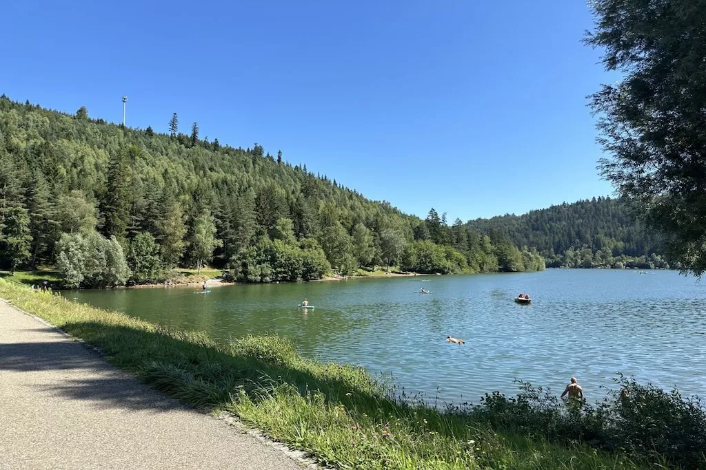 766107 - Niet-getagd