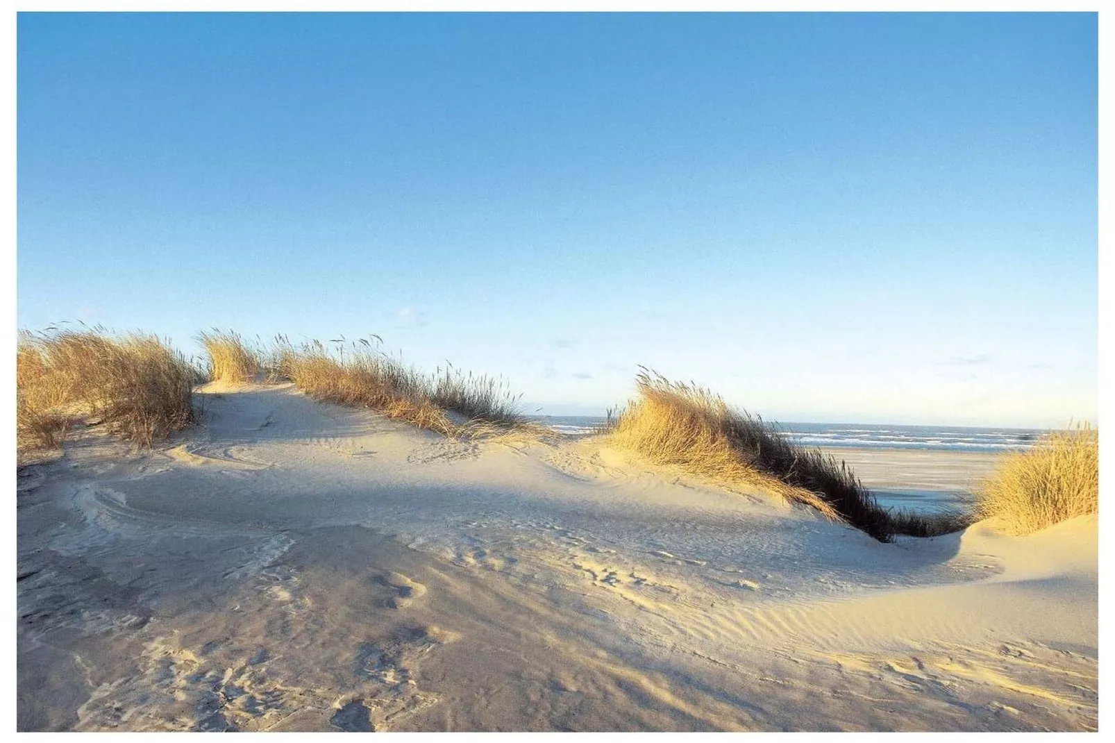 55136-Gebieden zomer 5km