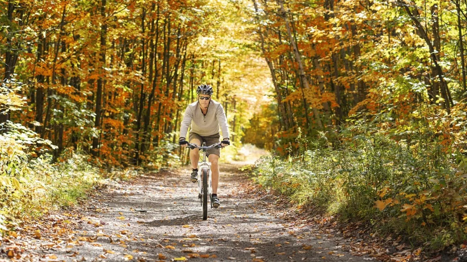 L Etage-Gebieden zomer 1km