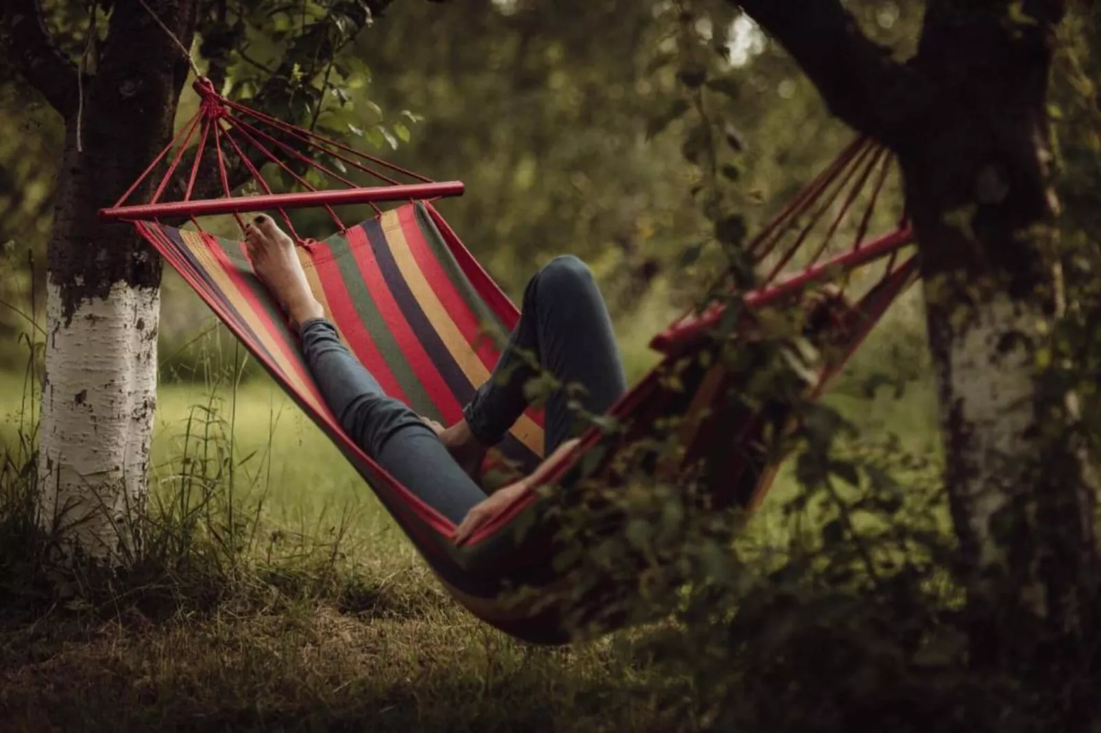 Dom przy drodze Skansen dla 8 osób Bełczna-Uitzicht