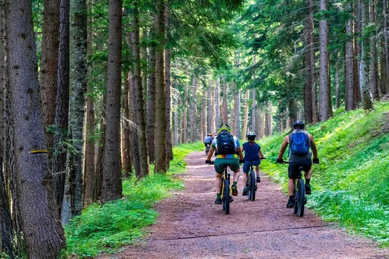 Dom przy drodze Skansen dla 8 osób Bełczna-Uitzicht