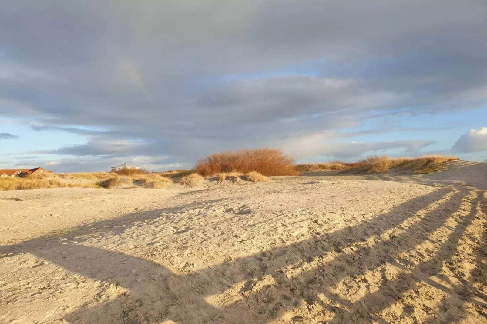 268431-Gebieden zomer 5km