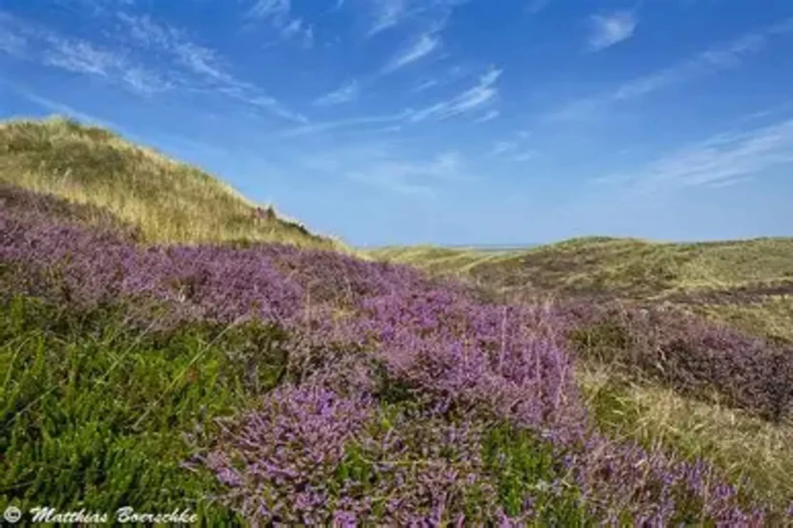 Post Hiddensee-Wohnung 18-Gebieden zomer 5km