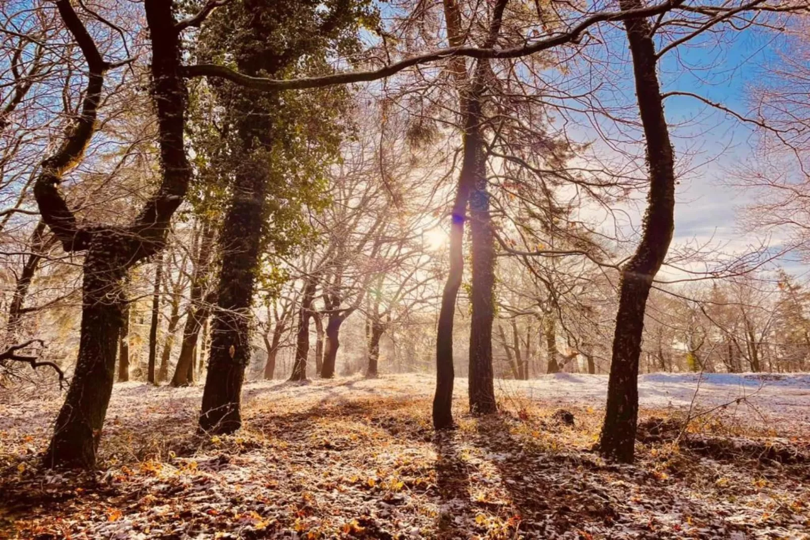 Vakantie bij Meeussen - Schuttersoord 1 - Gebieden zomer 20km