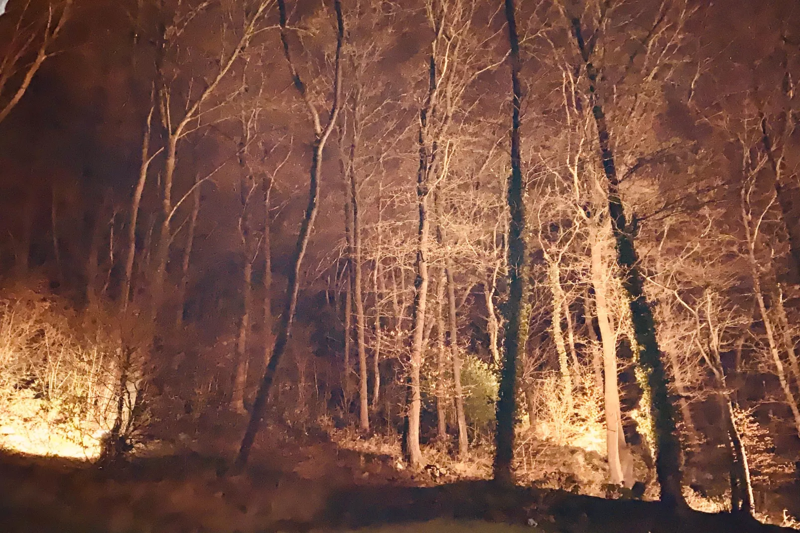 The Sweet Escape - Exterieur winter