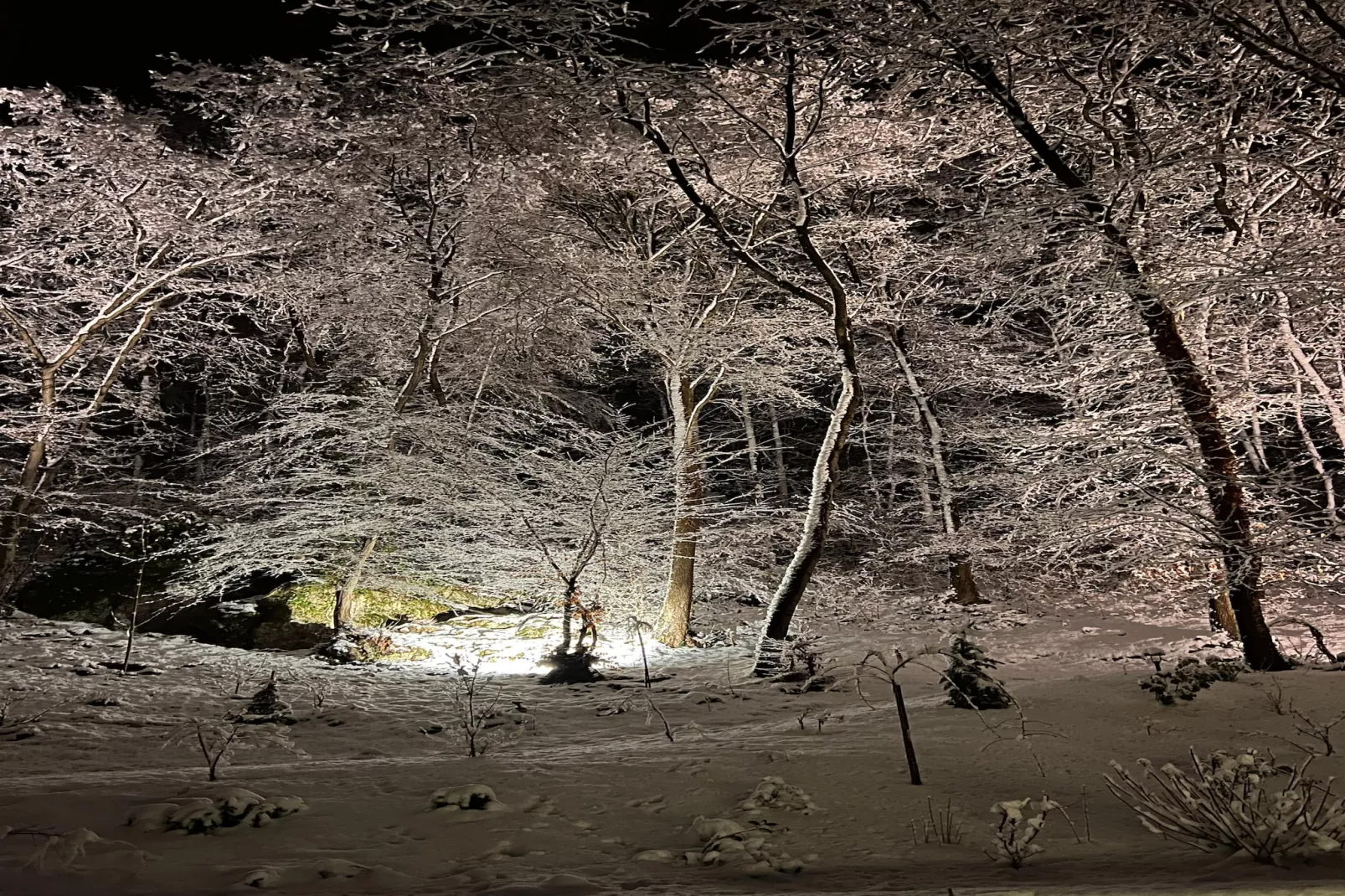 The Sweet Escape - Exterieur winter