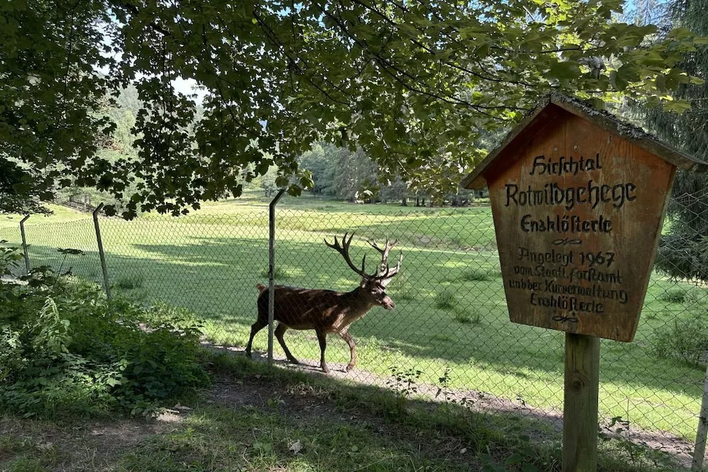 766107 - Niet-getagd