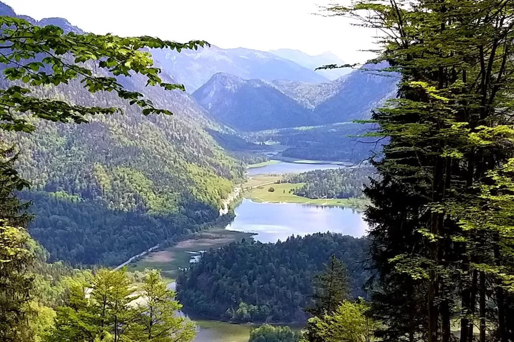 273366 - Niet-getagd