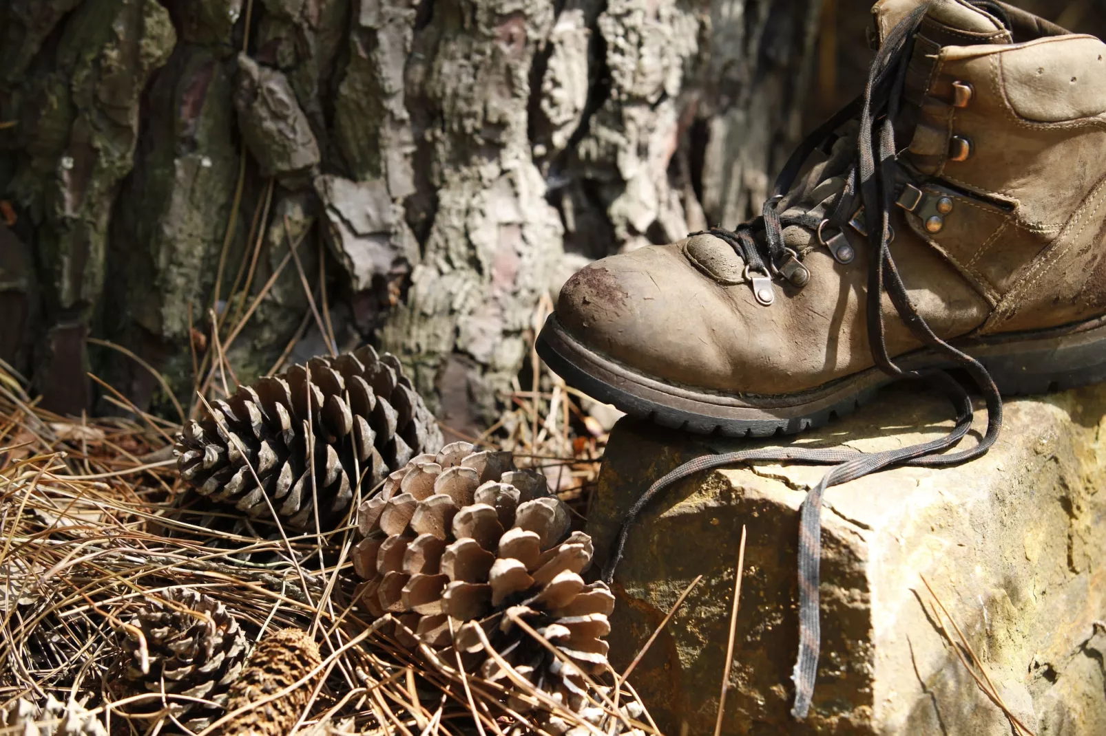 Vakantie bij Meeussen - Schuttersoord 1 - Sfeer