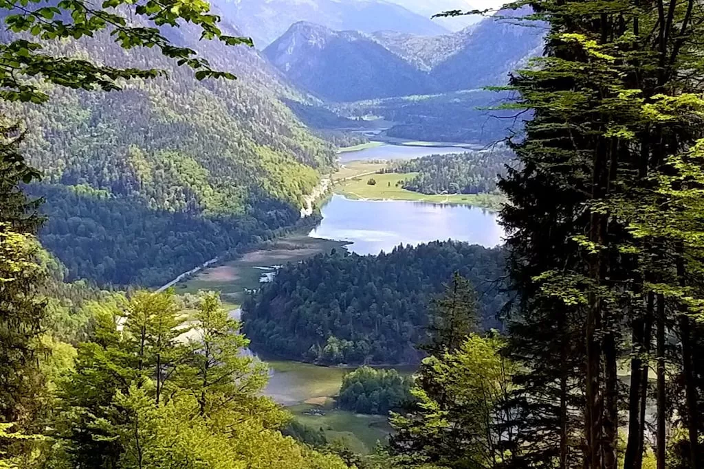 273368 - Niet-getagd