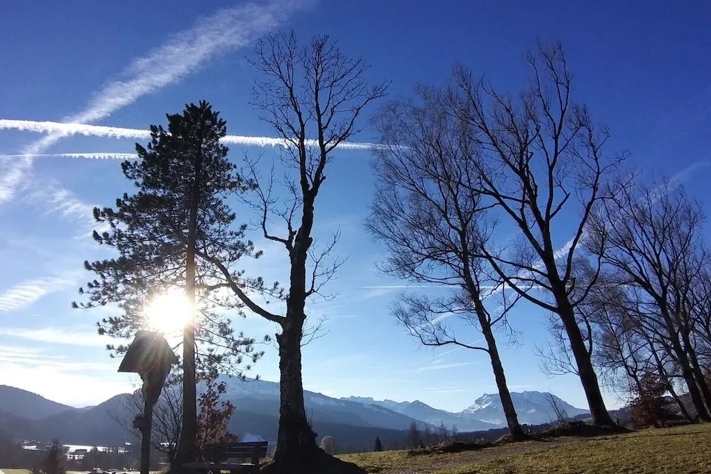 515579 - Niet-getagd