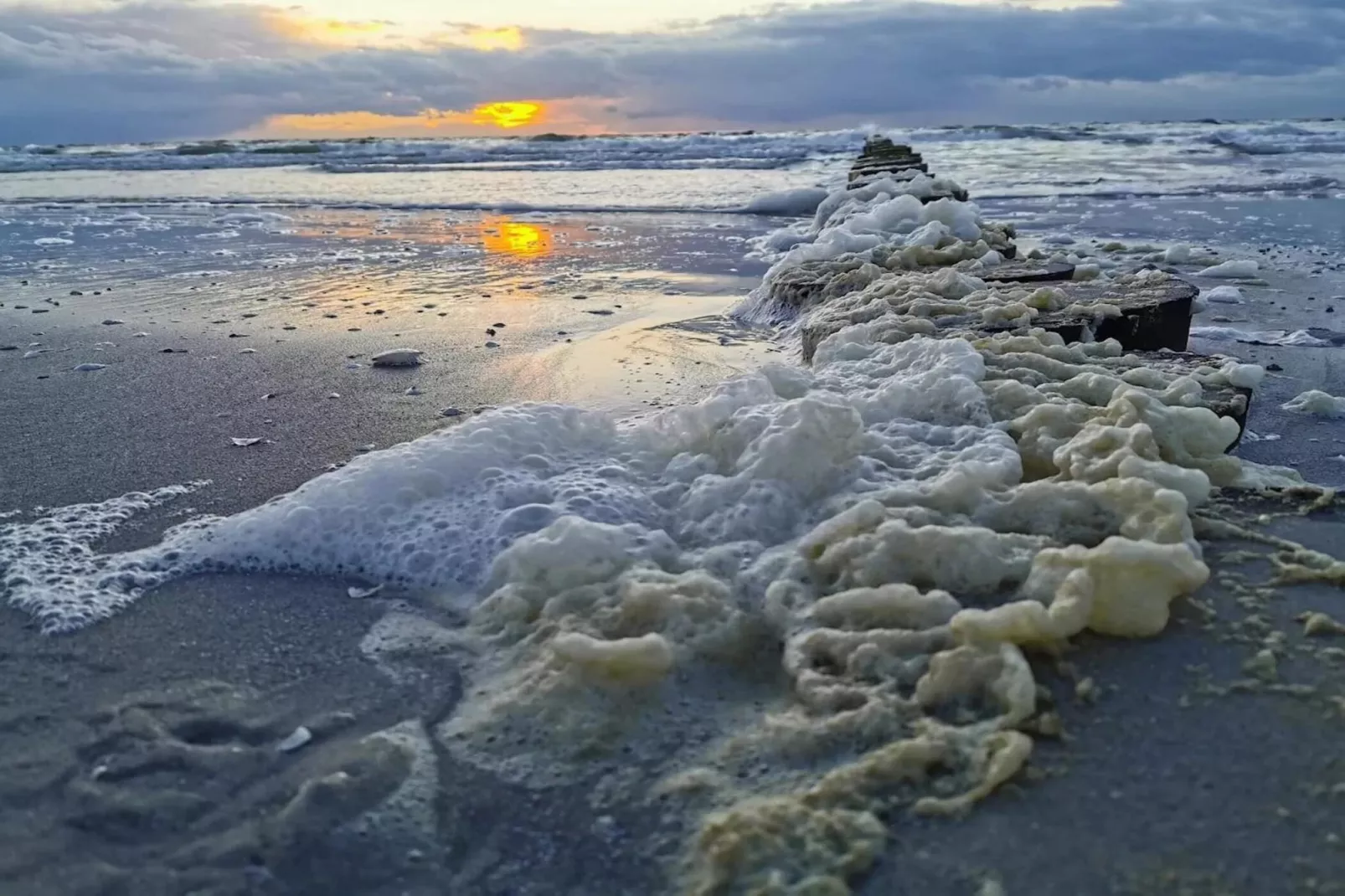 Post Hiddensee-Wohnung 18-Gebieden zomer 5km