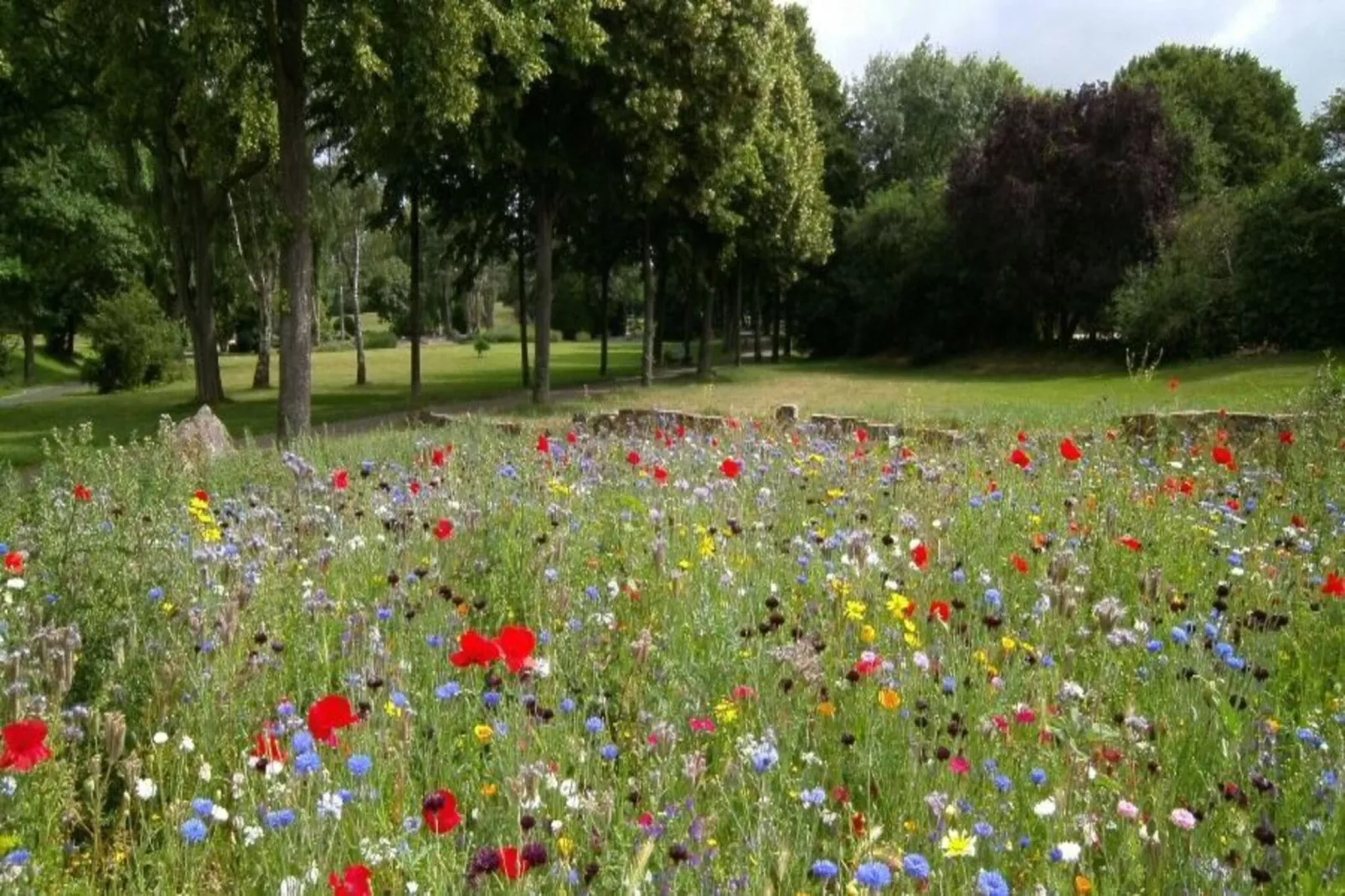 Domek Letniskowy Rosnowo - Uitzicht