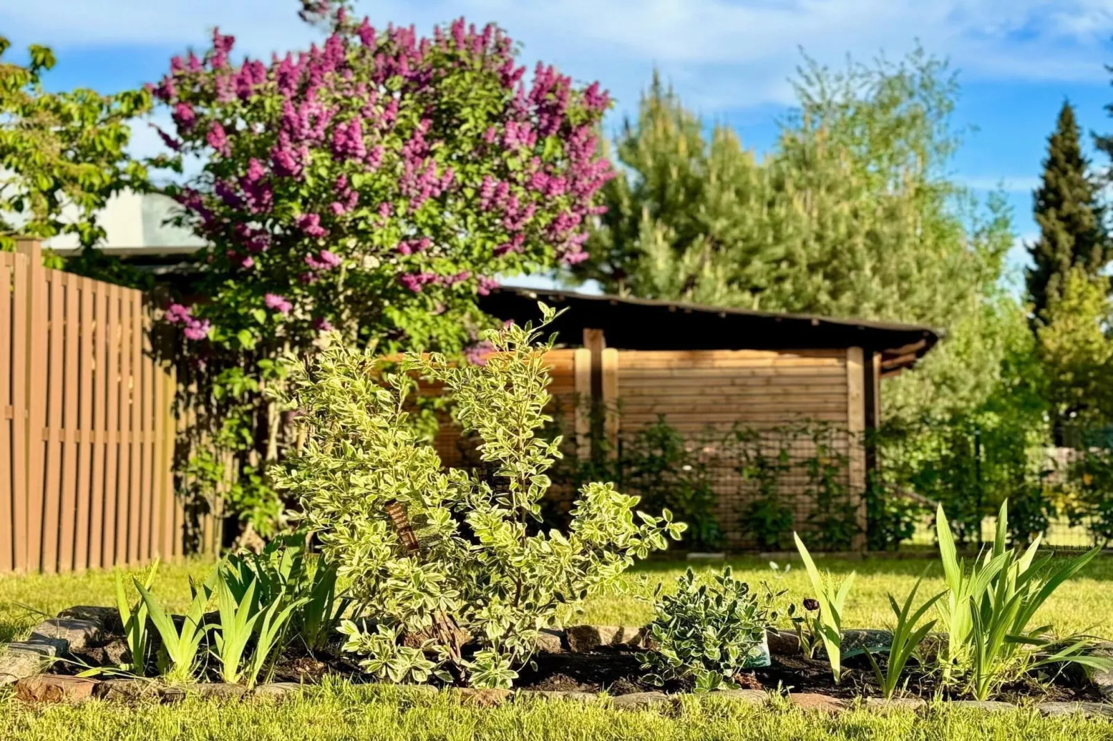 Ferienhaus Havelzeit - 4 Personen-Tuinen zomer