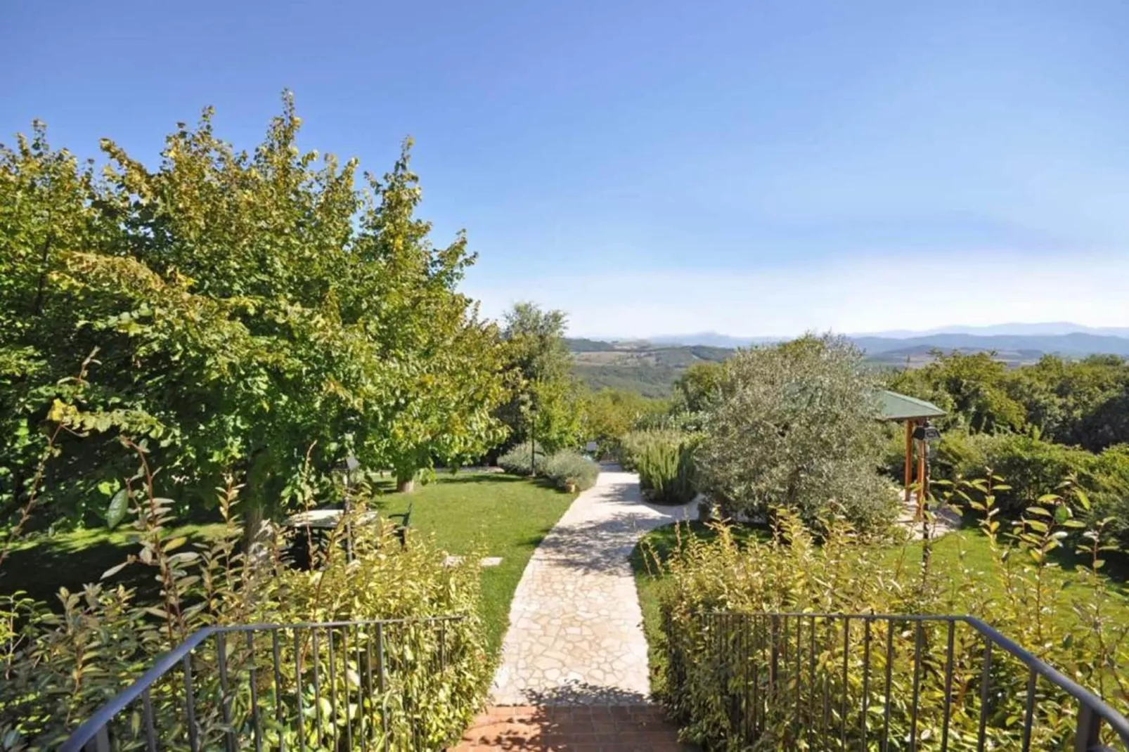 Rosa Tea - Tuinen zomer