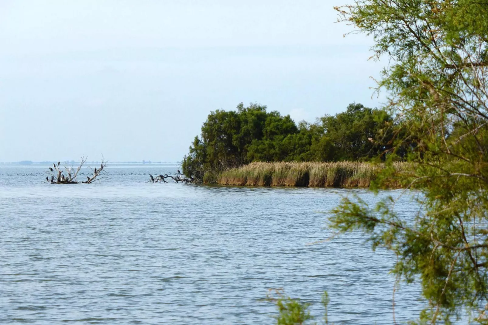 Doppelhaushälfte in Saintes-Maries-de-la-Mer-Gebieden zomer 1km