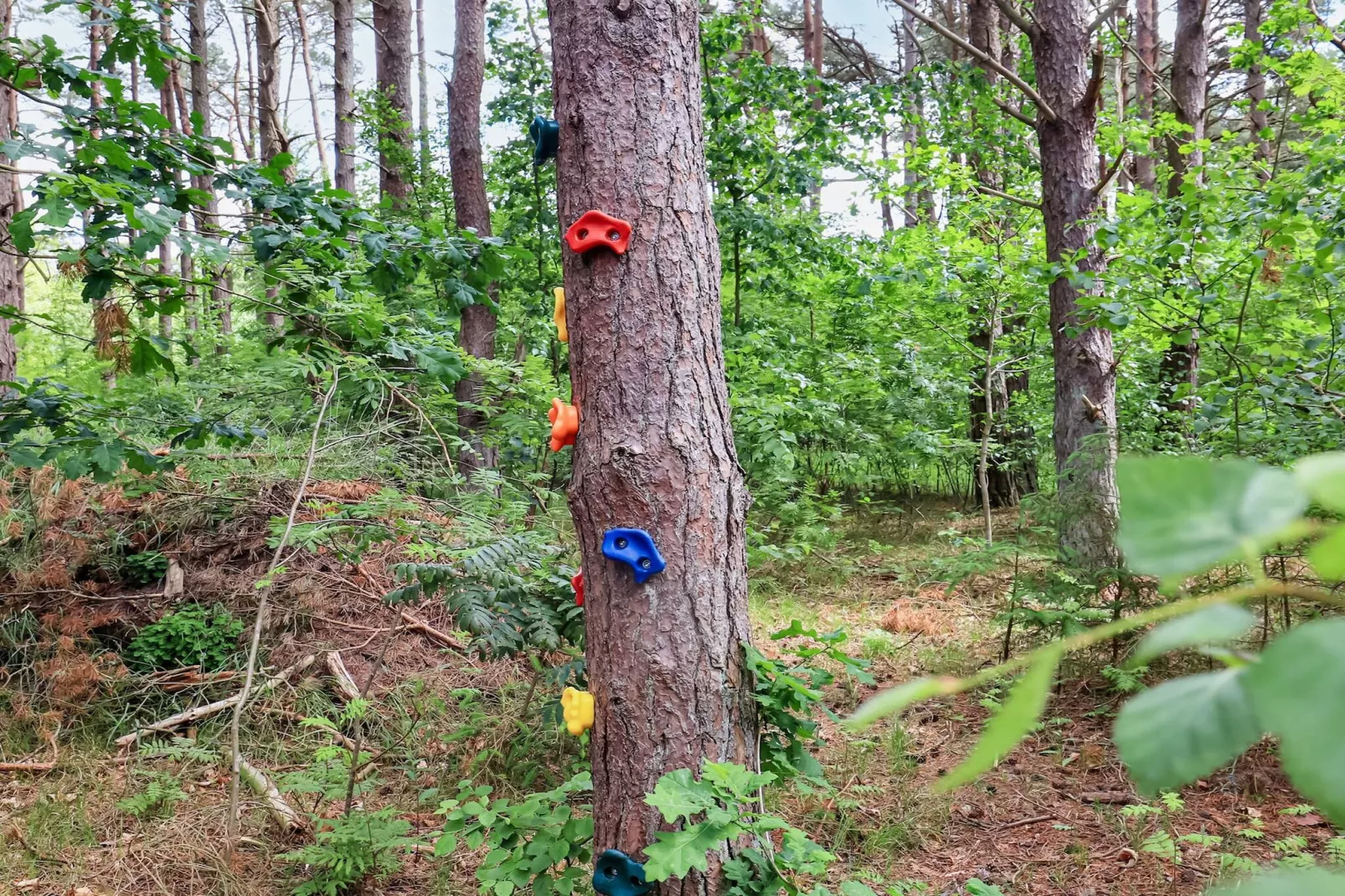 5 sterren vakantie huis in Læsø-By Traum-Uitzicht