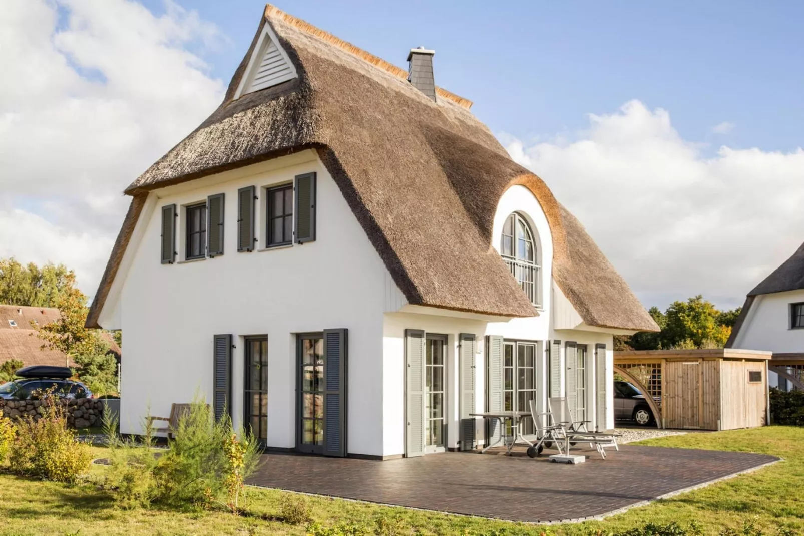 Schilfrohrsänger 54