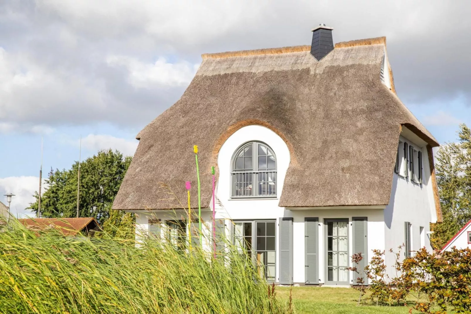 Schilfrohrsänger 54 - Buitenkant zomer