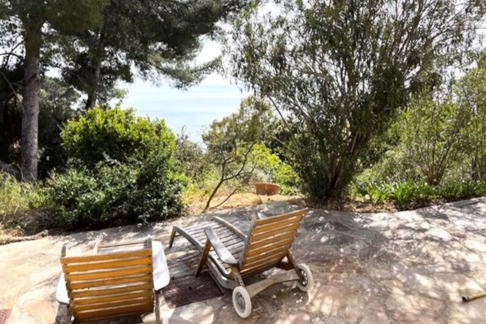 Résidence Un Jardin Au Bord De La M&eacute;diterran&eacute;e-Niet-getagd