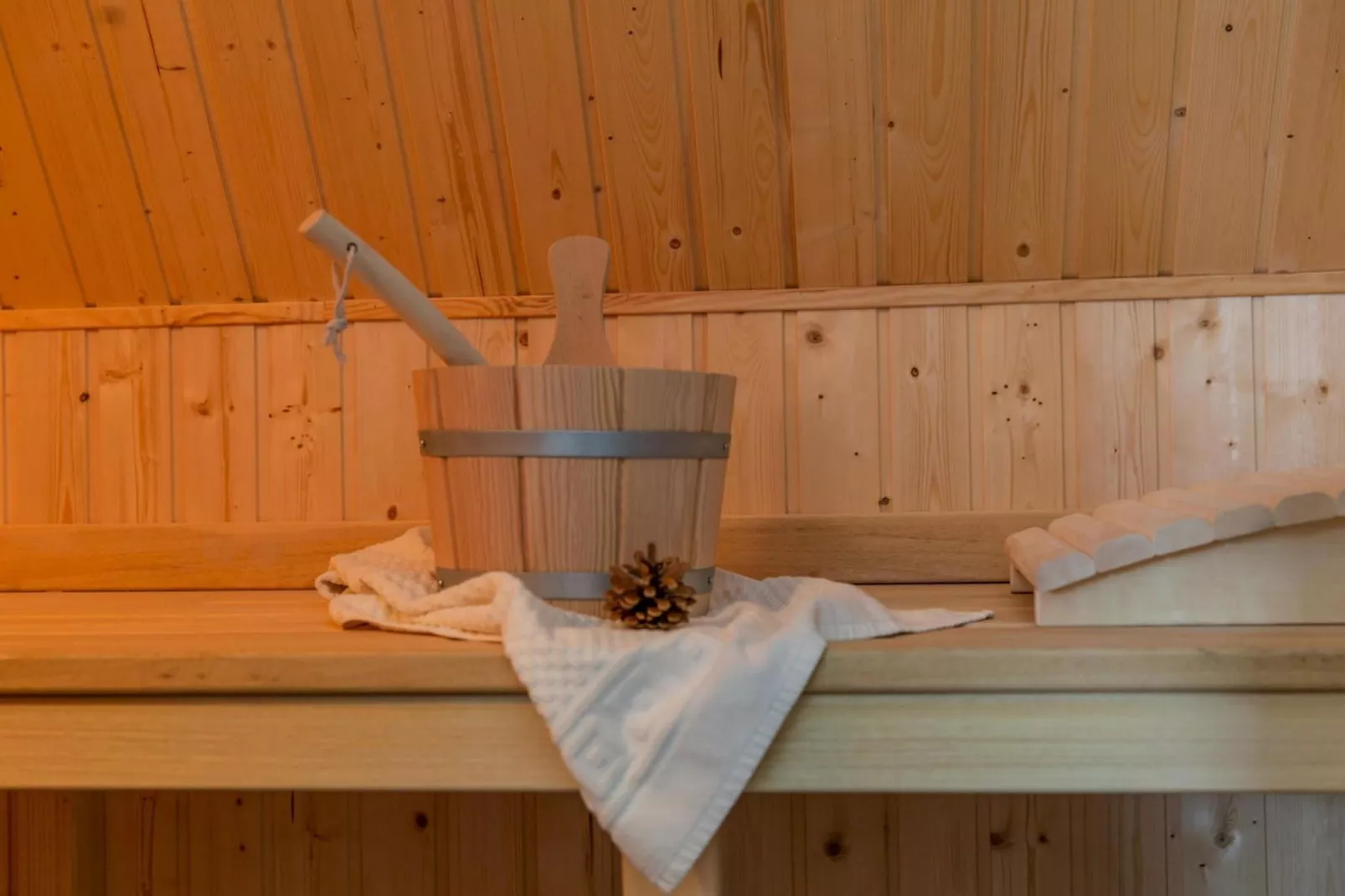 Schilfrohrsänger 54 - Sauna