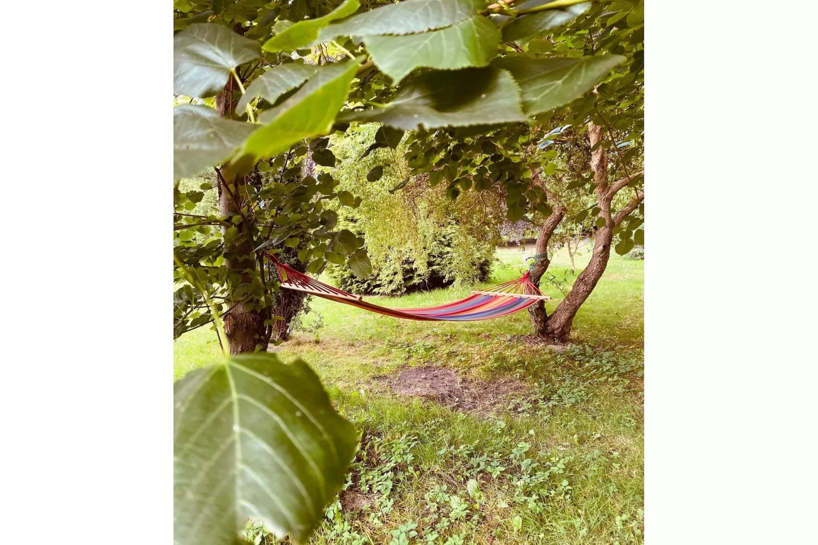 Dom przy drodze Skansen dla 9 osób Bełczna-Tuinen zomer