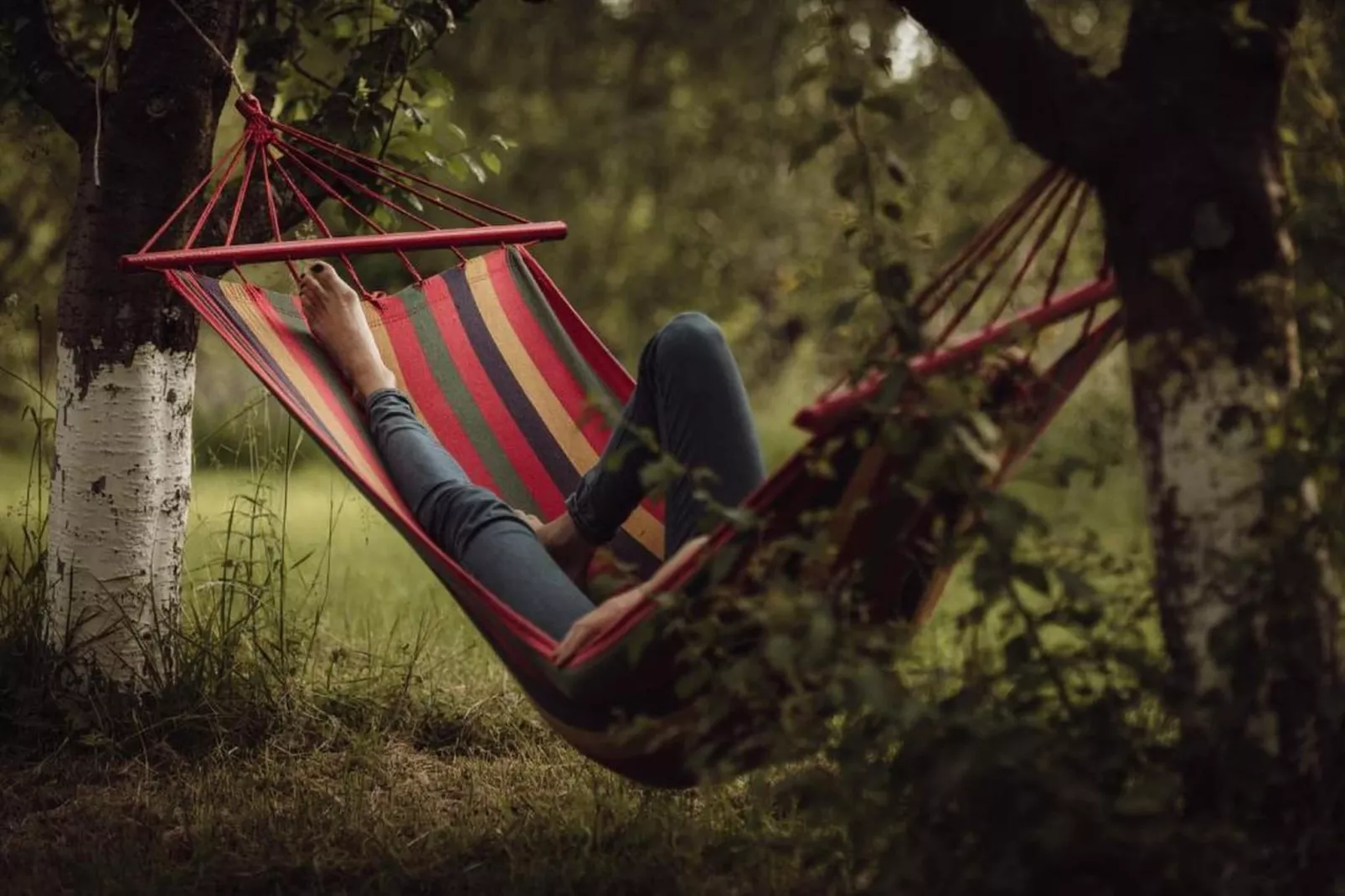 Dom przy drodze Skansen dla 9 osób Bełczna-Parkfaciliteiten