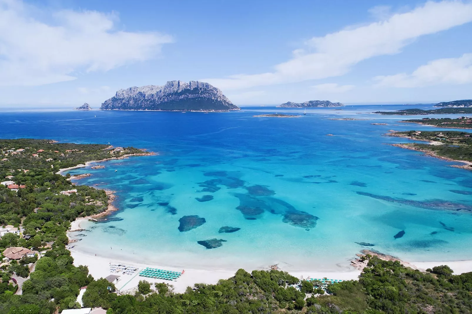 Bellavista 3 - Gebieden zomer 1km