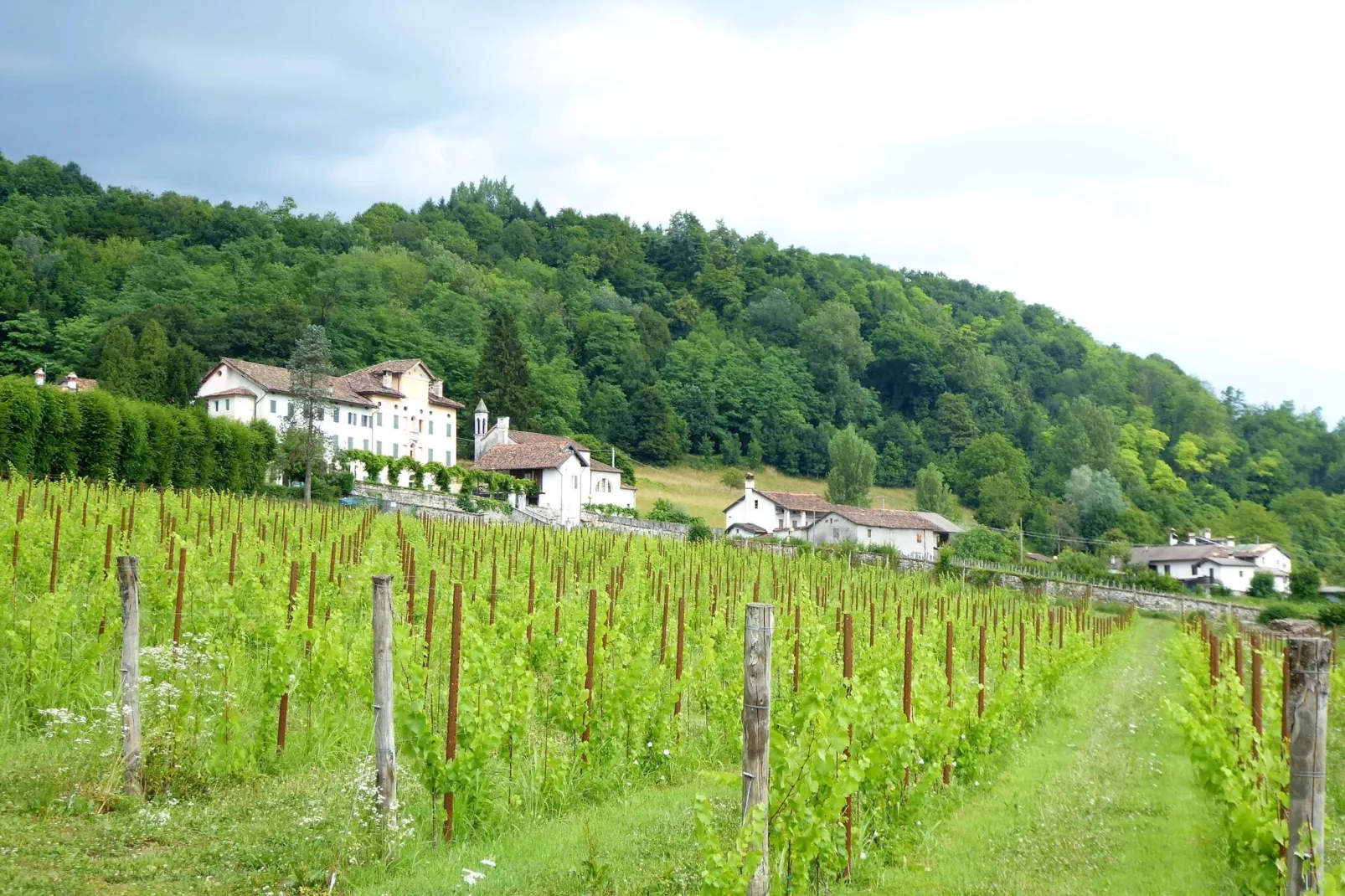 Appartemento Chardonnay