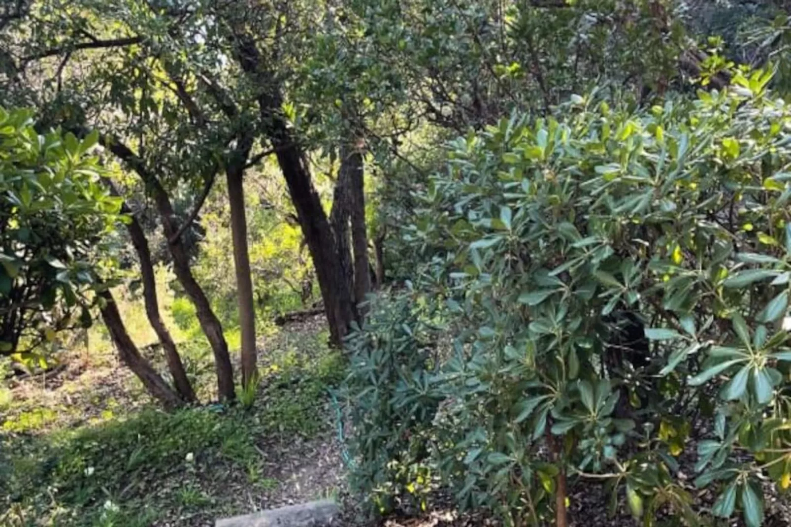 Résidence Un Jardin Au Bord De La M&eacute;diterran&eacute;e-Niet-getagd