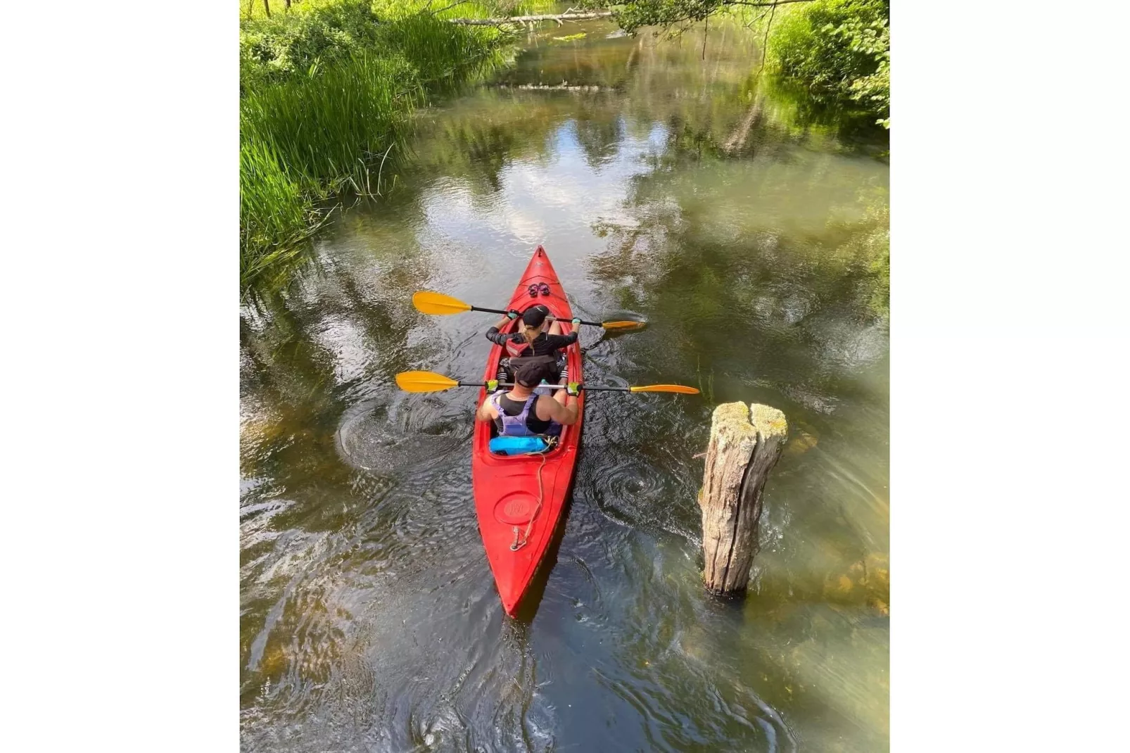 Dom przy drodze Skansen dla 9 osób Bełczna-Gebieden zomer 5km