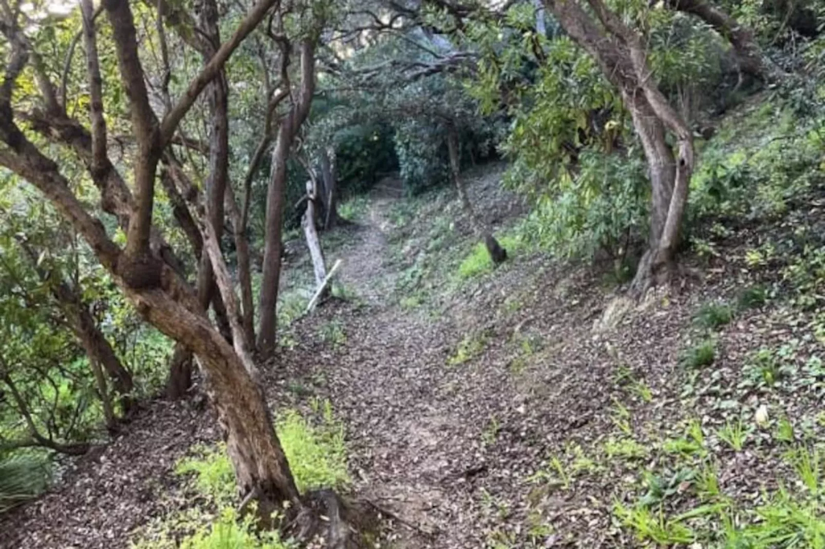 Résidence Un Jardin Au Bord De La M&eacute;diterran&eacute;e-Niet-getagd